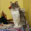 Отзыв от Анастасия Софронова
